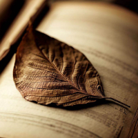 Lyric Pieces, Op 47: No.2, Album Leaf (Single)