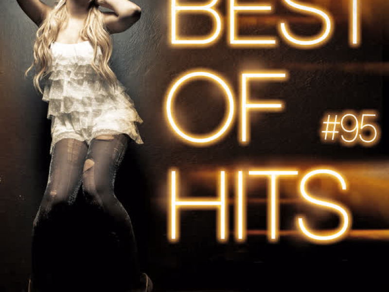 Best Of Hits Vol. 95