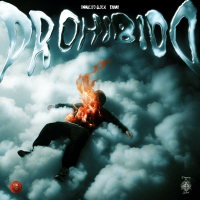 Prohibido (Single)