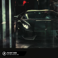 You Don’t Know (Single)