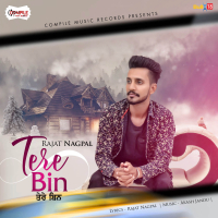 Tere Bin (Single)