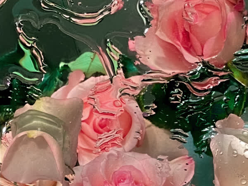 Bed of Roses (Single)