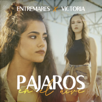 Pájaros en el Aire (Single)