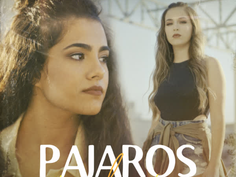 Pájaros en el Aire (Single)