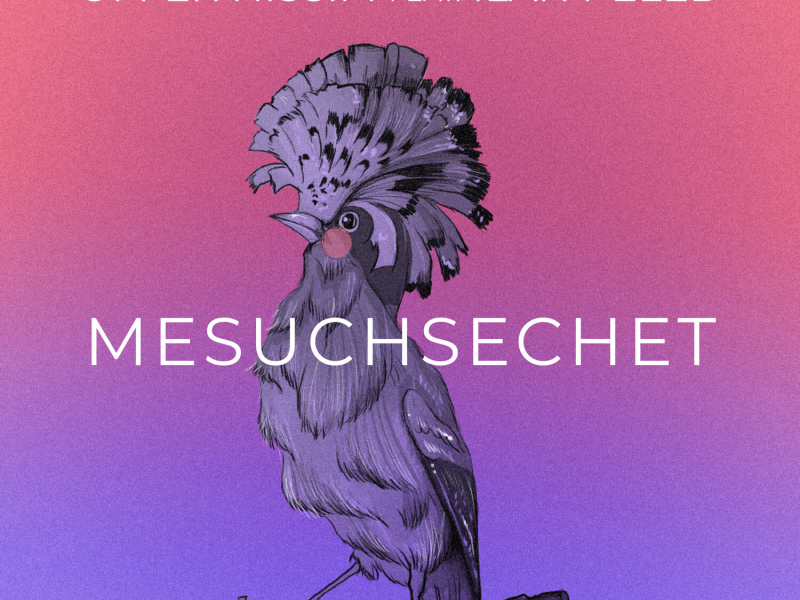 Mesuchsechet (Single)