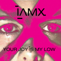 Your Joy Is My Low (Single)