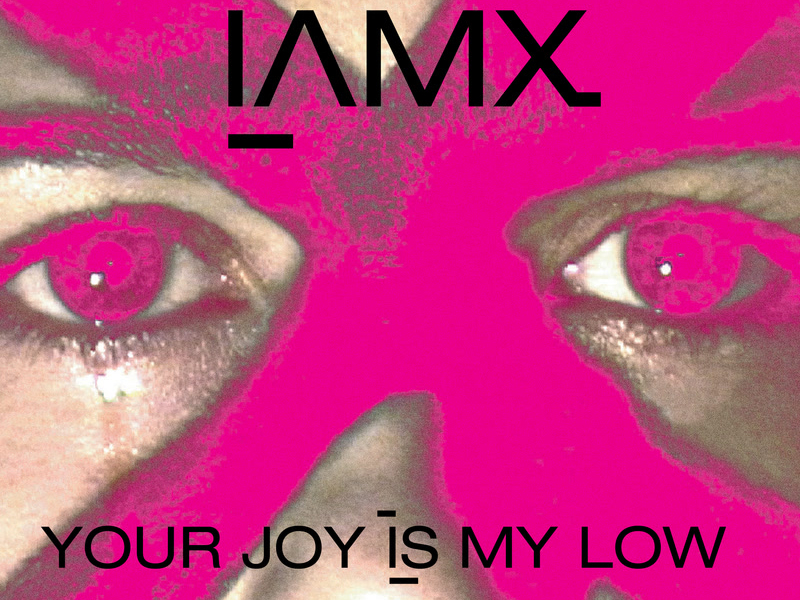 Your Joy Is My Low (Single)