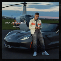 Mám co jsem chtěl (Single)