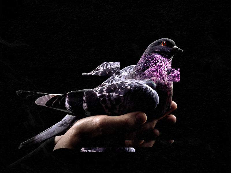 Circle of Thirds (Single)