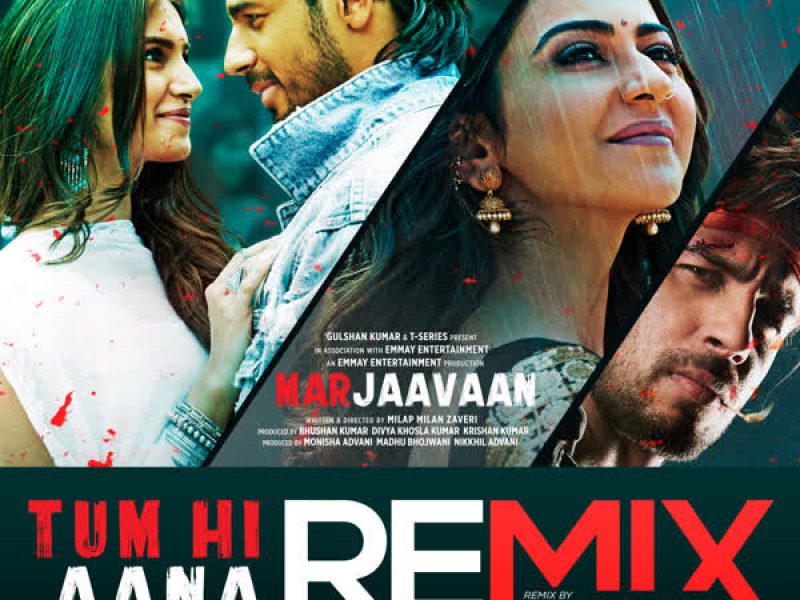 Tum Hi Aana Remix (Single)