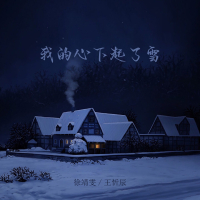 我的心下起了雪 (Dj阿布版) (Single)