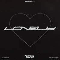 Lonely Heart (RAVENS Remix) (Single)