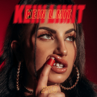 Kein Limit (Single)