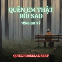 Quên Em Thật Rồi Sao (Quiez Houselak Beat) (Single)
