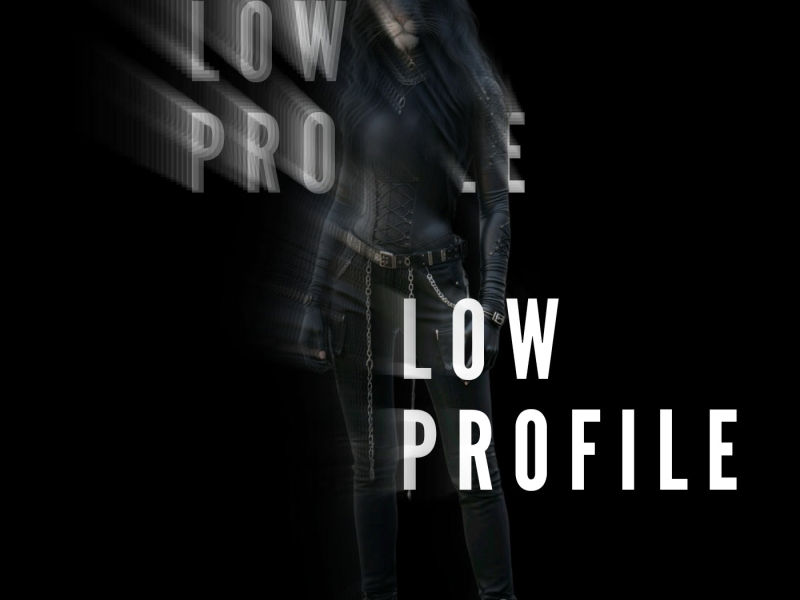 L0W Pr0FILE (Single)