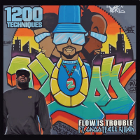 Flow Is Trouble (Single)