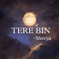 Tere Bin (Single)