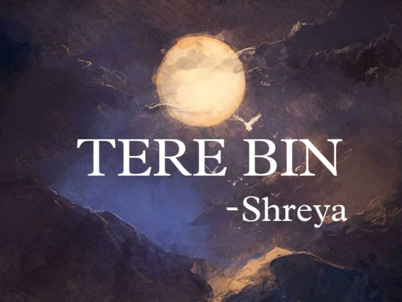 Tere Bin (Single)