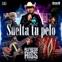 Suelta Tu Pelo (En Vivo) (Single)