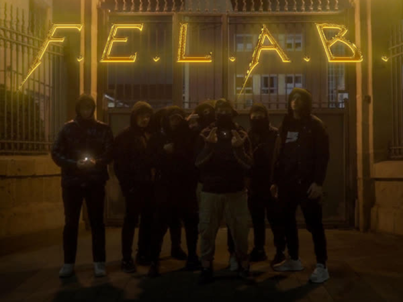 F.E.L.A.B (Single)