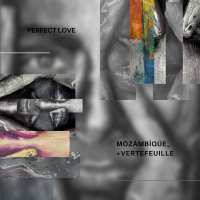 Perfect Love (Single)