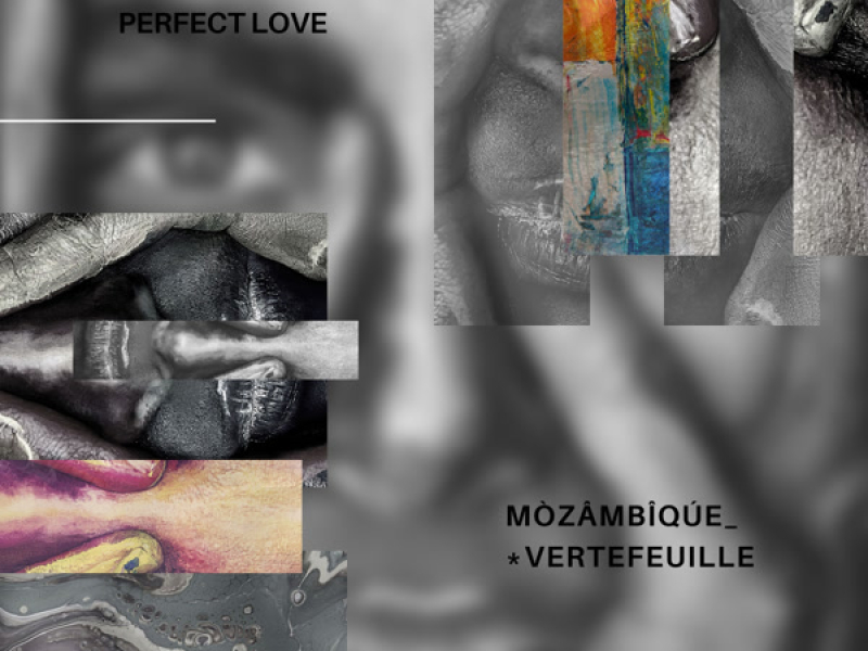 Perfect Love (Single)