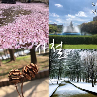Four Seasons (Single)