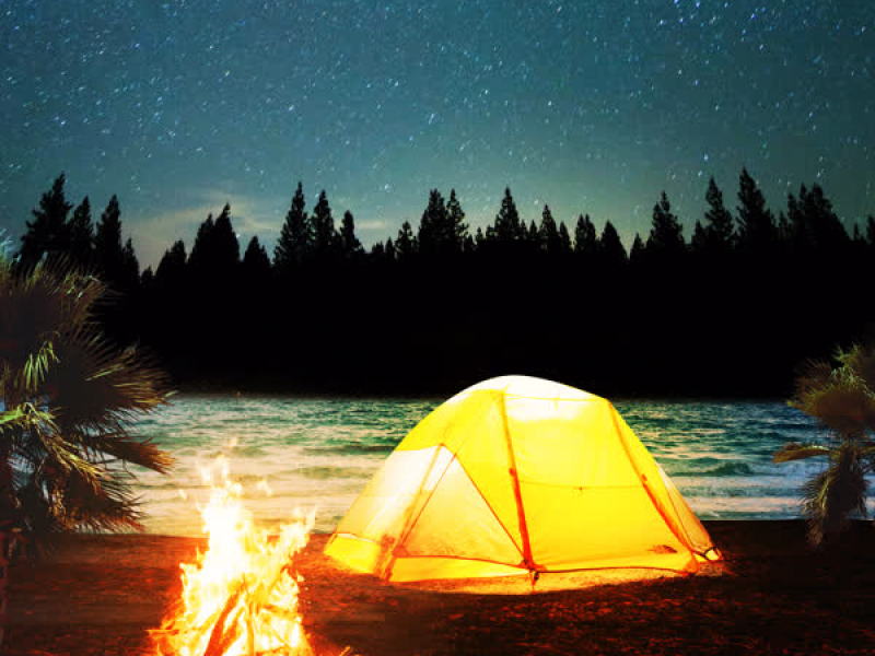 Nightcamping (Single)