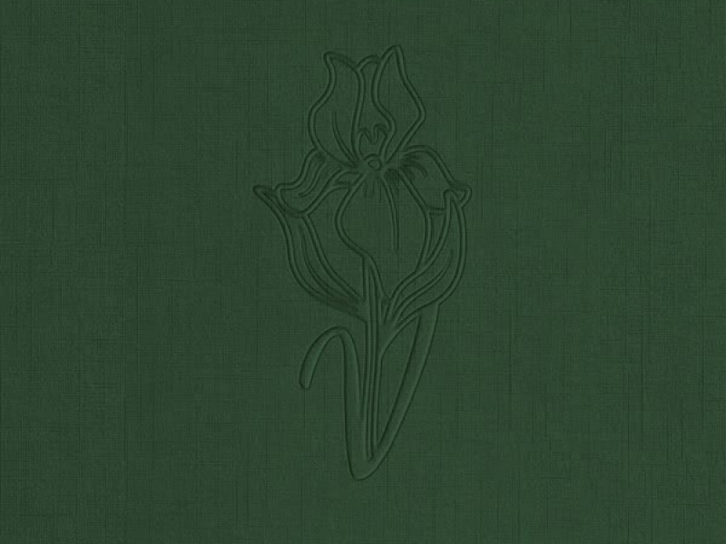 The Day After (Single)