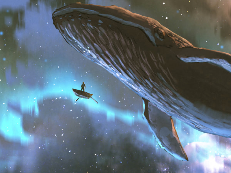 It's like falling into the void (Single)