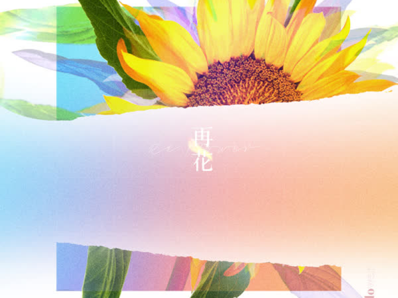 [Re:flower] PROJECT #3 (EP)