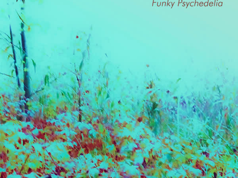Funky Psychedelia