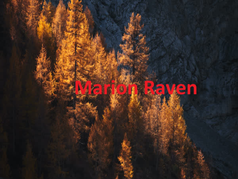 Horse Martial Arts (Single)