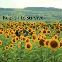 Reason to Survive (Single)