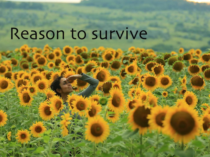 Reason to Survive (Single)