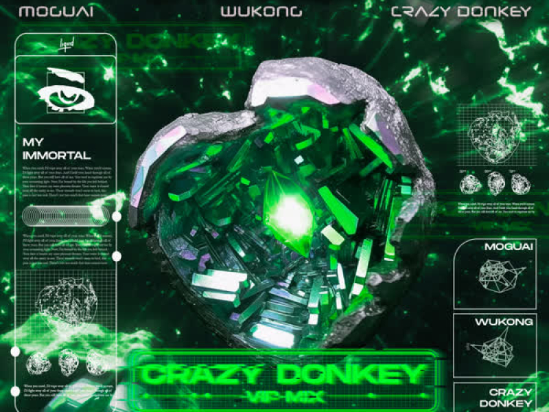 My Immortal (CD VIP Remix) (Single)