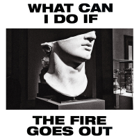 What Can I Do If the Fire Goes Out? (Radio Edit) (Single)