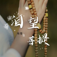 泪望菩提 (Single)