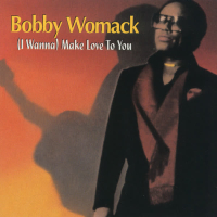 (I Wanna) Make Love To You