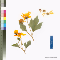 You Don′t Know Me (Single)