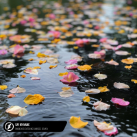 Say My Name (Single)