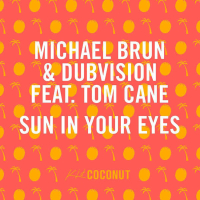 Sun in Your Eyes (Single)