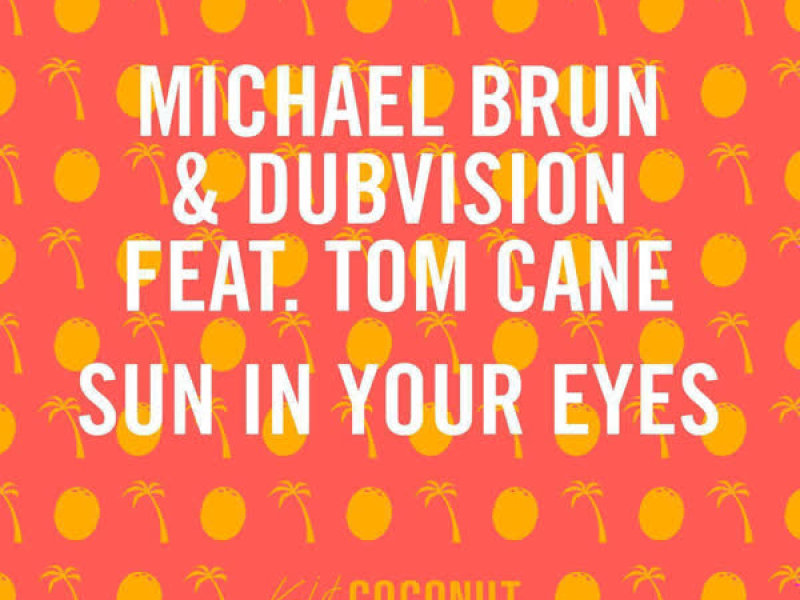 Sun in Your Eyes (Single)
