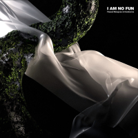 I Am No Fun (Single)