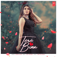 Tere Bina (Single)