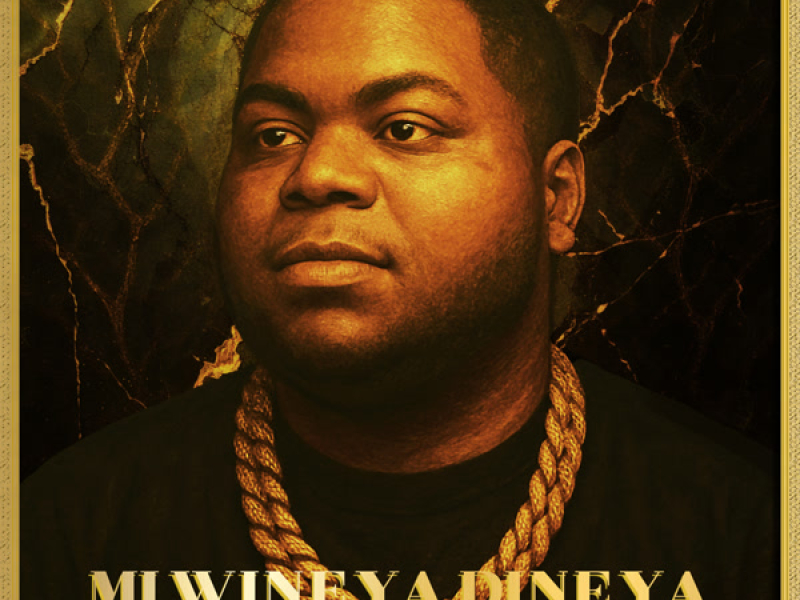 Mi Wine Ya Dine Ya (Single)