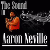 The Sound Of Aaron Neville