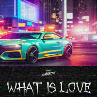 What Is Love (Funk Version) (Single)