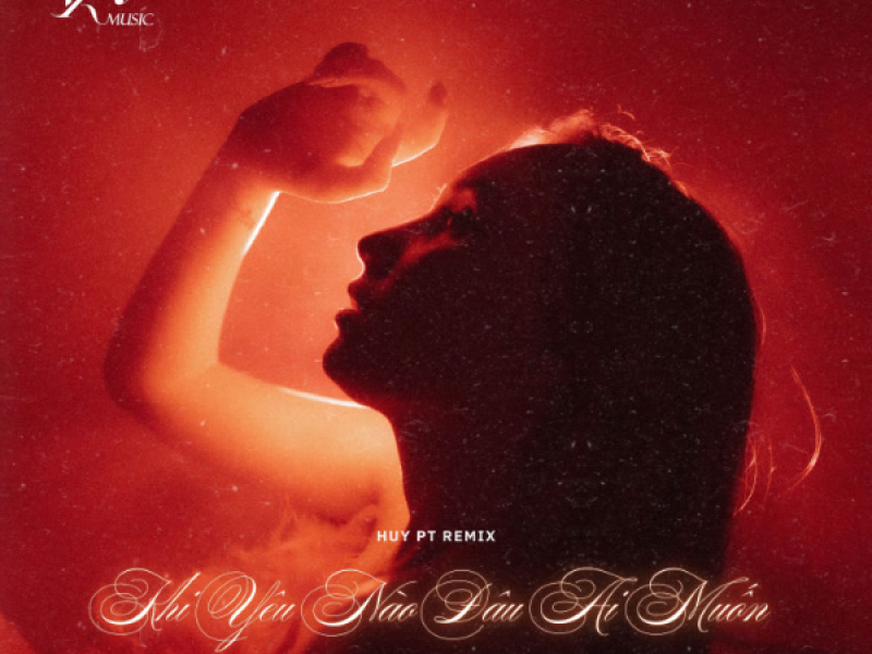 Khi Yêu Nào Đâu Ai Muốn (Huy PT Remix) (Single)