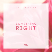 Something Right (Single)
